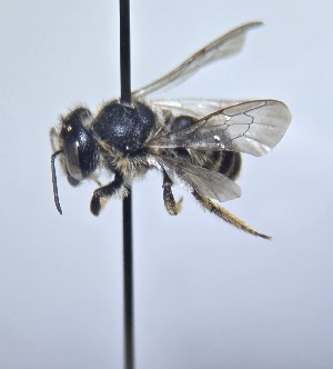  ( - WRME.MFK.23612)  @11 [ ] by (2025) Jason Gibbs University of Manitoba