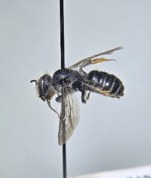  ( - WRME.MFK.52697)  @11 [ ] by (2025) Jason Gibbs University of Manitoba