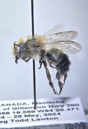  ( - WRME0519634)  @11 [ ] by (2025) Jason Gibbs University of Manitoba