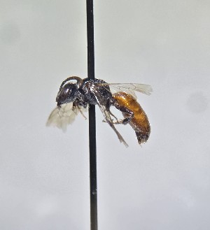  ( - WRME_EJH04125)  @11 [ ] by (2025) Jason Gibbs University of Manitoba