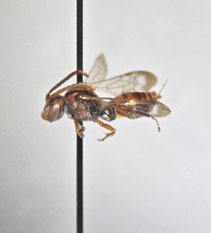  ( - WRME_JG00359)  @11 [ ] by (2025) Jason Gibbs University of Manitoba