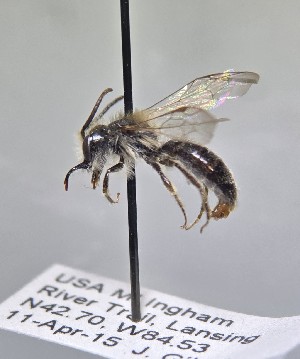  ( - WRME_JG01004)  @11 [ ] by (2025) Jason Gibbs University of Manitoba