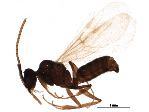  ( - BIOUG01668-F10)  @14 [ ] CreativeCommons - Attribution (2016) CBG Photography Group Centre for Biodiversity Genomics