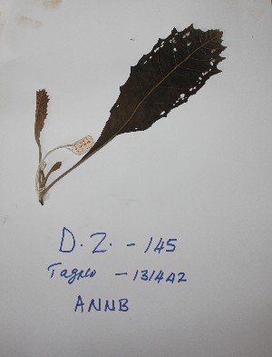  ( - DZ145)  @11 [ ] Unspecified (default): All Rights Reserved  Unspecified Unspecified