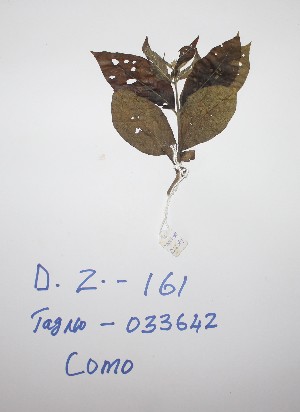  ( - DZ161)  @11 [ ] Unspecified (default): All Rights Reserved  Unspecified Unspecified