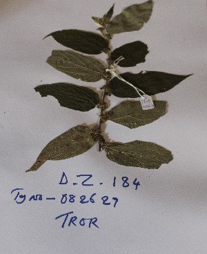  ( - DZ184)  @11 [ ] Unspecified (default): All Rights Reserved  Unspecified Unspecified