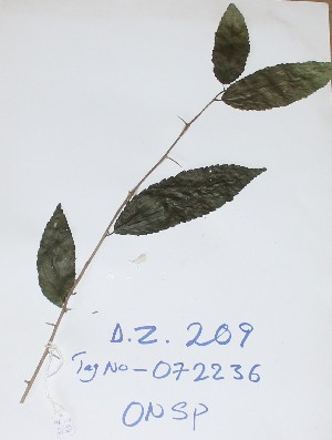  ( - DZ209)  @11 [ ] Unspecified (default): All Rights Reserved  Unspecified Unspecified