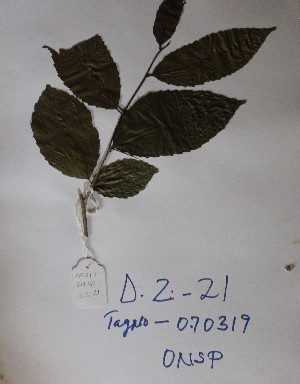  ( - DZ021)  @11 [ ] Unspecified (default): All Rights Reserved  Unspecified Unspecified