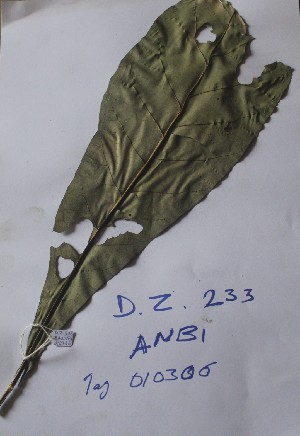  ( - DZ233)  @11 [ ] Unspecified (default): All Rights Reserved  Unspecified Unspecified