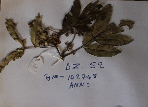  ( - DZ052)  @11 [ ] Unspecified (default): All Rights Reserved  Unspecified Unspecified