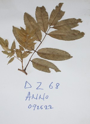  ( - DZ068)  @11 [ ] Unspecified (default): All Rights Reserved  Unspecified Unspecified