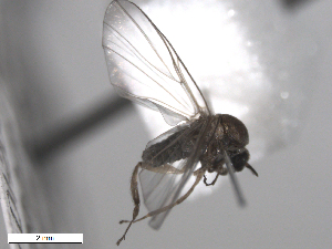  ( - BIOUG02455-B06)  @12 [ ] CreativeCommons - Attribution (2012) CBG Photography Group Centre for Biodiversity Genomics