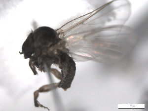  ( - BIOUG02455-C12)  @12 [ ] CreativeCommons - Attribution (2012) CBG Photography Group Centre for Biodiversity Genomics