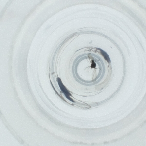  ( - NIDD_019_D5)  @11 [ ] by  Genome Research Ltd as Wellcome Sanger Institute Genome Research Limited operating as Wellcome Sanger Institute