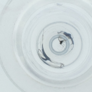  ( - NIDD_020_B12)  @11 [ ] by  Genome Research Ltd as Wellcome Sanger Institute Genome Research Limited operating as Wellcome Sanger Institute