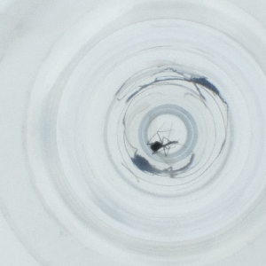  ( - NIDD_026_B7)  @11 [ ] by  Genome Research Ltd as Wellcome Sanger Institute Genome Research Limited operating as Wellcome Sanger Institute