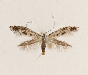  ( - PKS_202303)  @11 [ ] Copyright (2024) Per Kristian Slagsvoll Unspecified