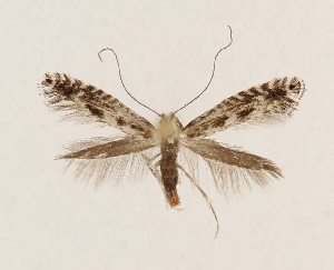  ( - PKS_202304)  @11 [ ] Copyright (2024) Per Kristian Slagsvoll Unspecified