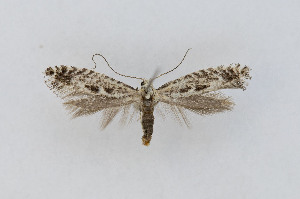  ( - RVO_202307)  @11 [ ] Copyright (2024) Reidar Voith Unspecified