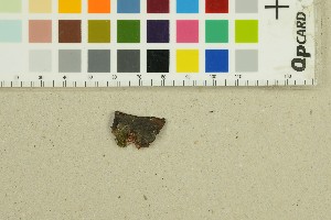  ( - O-F-76987)  @11 [ ] by-nc-sa (2025) Unspecified University of Oslo, Natural History Museum