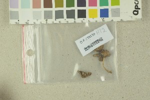  ( - O-F-259139)  @11 [ ] Unspecified (default): All Rights Reserved (2022) Unspecified University of Oslo, Natural History Museum