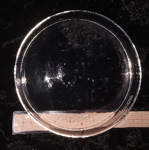  ( - NH1232)  @11 [ ] by-nc-sa (2022) Luis Martell University Museum of Bergen, Natural History Collections