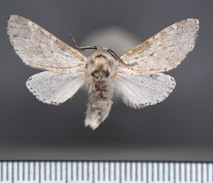  ( - CSU_ENT_1121771)  @11 [ ] Unspecified (default): All Rights Reserved  Unspecified Unspecified