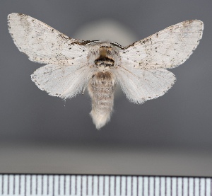  ( - CSU_ENT_1121774)  @11 [ ] Unspecified (default): All Rights Reserved  Unspecified Unspecified