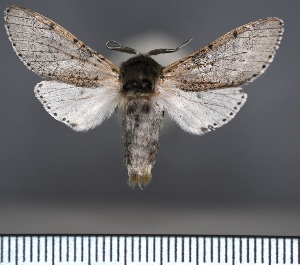  ( - CSU_ENT_1243039)  @11 [ ] Unspecified (default): All Rights Reserved  Unspecified Unspecified