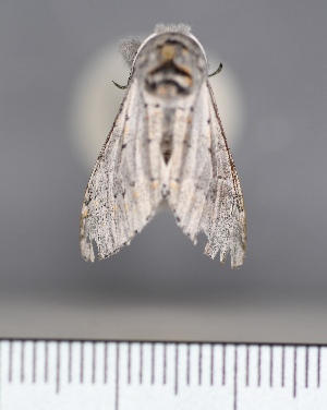  ( - UCMC_0277776)  @11 [ ] Unspecified (default): All Rights Reserved  Unspecified Unspecified