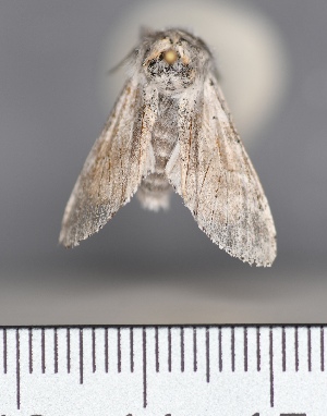  ( - UCMC_0277778)  @11 [ ] Unspecified (default): All Rights Reserved  Unspecified Unspecified