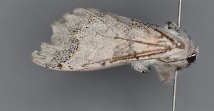  ( - UCMC_0277784)  @11 [ ] Unspecified (default): All Rights Reserved  Unspecified Unspecified