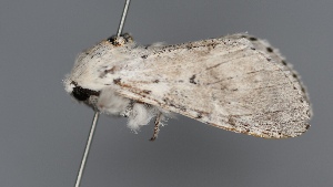  ( - UCMC_0277787)  @11 [ ] Unspecified (default): All Rights Reserved  Unspecified Unspecified