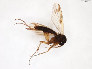  ( - TSZD-JKJ-103456)  @12 [ ] CreativeCommons - Attribution Non-Commercial Share-Alike (2017) Unspecified Tromsø University Museum