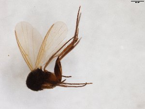  ( - TSZD-JKJ-103483)  @11 [ ] CreativeCommons - Attribution Non-Commercial Share-Alike (2017) Unspecified Tromsø University Museum
