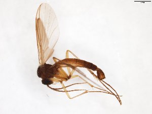  ( - TSZD-JKJ-103517)  @11 [ ] CreativeCommons - Attribution Non-Commercial Share-Alike (2017) Unspecified Tromsø University Museum