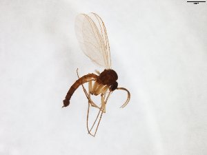  ( - TSZD-JKJ-103524)  @11 [ ] CreativeCommons - Attribution Non-Commercial Share-Alike (2017) Unspecified Tromsø University Museum