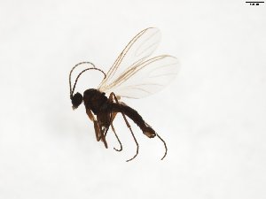  ( - TSZD-JKJ-103714)  @11 [ ] CreativeCommons - Attribution Non-Commercial Share-Alike (2017) Unspecified Tromsø University Museum