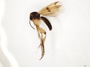  ( - TSZD-JKJ-104354)  @11 [ ] CreativeCommons - Attribution Non-Commercial Share-Alike (2018) Unspecified Tromsø University Museum