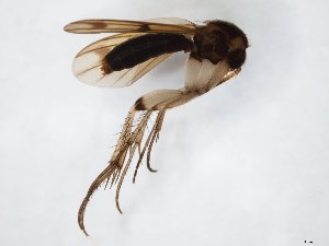  ( - TSZD-JKJ-104362)  @11 [ ] CreativeCommons - Attribution Non-Commercial Share-Alike (2018) Unspecified Tromsø University Museum