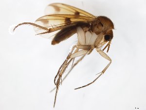  ( - TSZD-JKJ-104370)  @13 [ ] CreativeCommons - Attribution Non-Commercial Share-Alike (2018) Unspecified Tromsø University Museum
