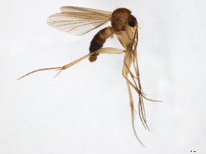  ( - TSZD-JKJ-104372)  @13 [ ] CreativeCommons - Attribution Non-Commercial Share-Alike (2018) Unspecified Tromsø University Museum