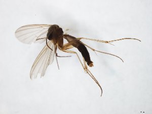  ( - TSZD-JKJ-104440)  @11 [ ] CreativeCommons - Attribution Non-Commercial Share-Alike (2018) Unspecified Tromsø University Museum