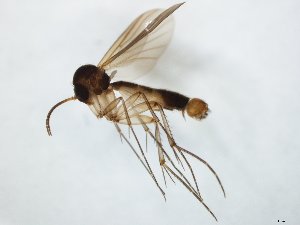  ( - TSZD-JKJ-104730)  @13 [ ] CreativeCommons - Attribution Non-Commercial Share-Alike (2018) Unspecified Tromsø University Museum