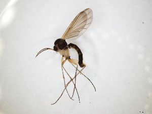  ( - TSZD-JKJ-104758)  @11 [ ] CreativeCommons - Attribution Non-Commercial Share-Alike (2018) Unspecified Tromsø University Museum