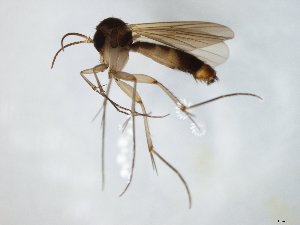 ( - TSZD-JKJ-104762)  @13 [ ] CreativeCommons - Attribution Non-Commercial Share-Alike (2018) Unspecified Tromsø University Museum
