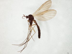  ( - TSZD-JKJ-105118)  @11 [ ] CreativeCommons - Attribution Non-Commercial Share-Alike (2019) Unspecified Tromsø University Museum