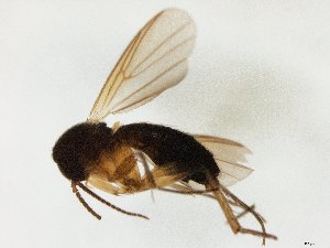  ( - TSZD-JKJ-107512)  @11 [ ] CreativeCommons - Attribution Non-Commercial Share-Alike (2019) Unspecified Tromsø University Museum