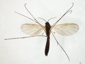  ( - TSZD-JKJ-107601)  @11 [ ] CreativeCommons - Attribution Non-Commercial Share-Alike (2019) Unspecified Tromsø University Museum