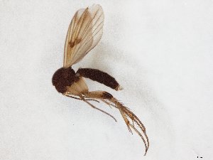  ( - TSZD-JKJ-107786)  @12 [ ] CreativeCommons - Attribution Non-Commercial Share-Alike (2019) Unspecified Tromsø University Museum